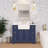 Emiliano 42'' Single Bathroom Vanity with Top-268005257-268005271