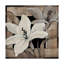 « spectaculaire lily grid i », reproduction d’impression sur toile tendue-33423958