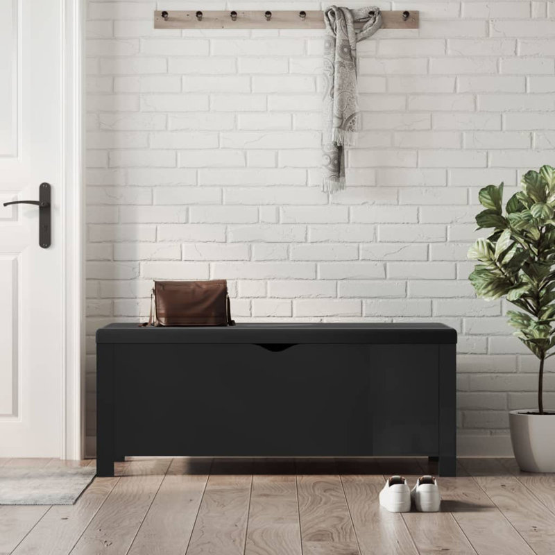 Banc de rangement en similicuir Atalfo, Noir, Noir très lustré