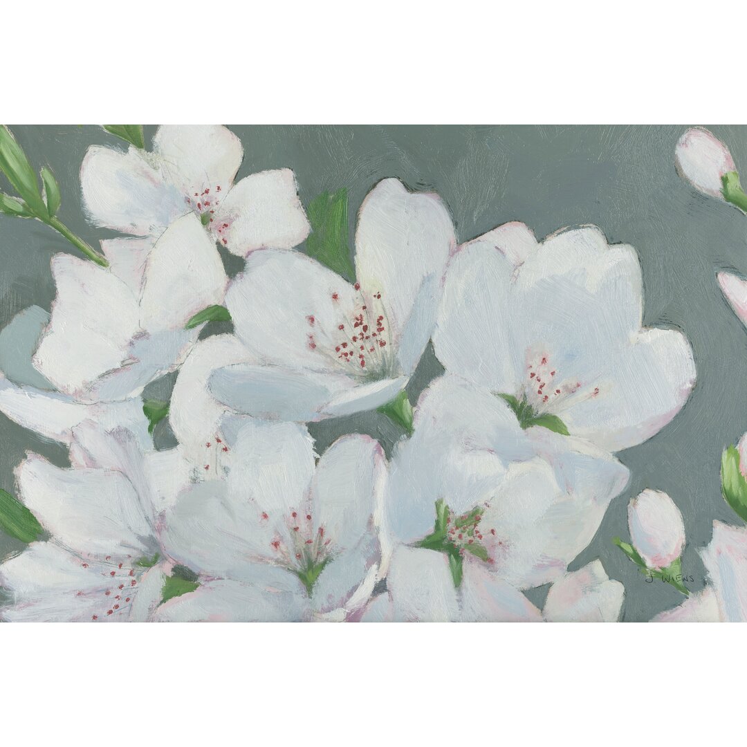 Leinwandbild Spring Apple Blossoms von James Wiens