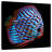 Brampt Aquatic Turquoise Discus Fish-109231629
