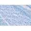 Rosée blue Queen printed quilted coverlet-2019547916-2019547915-2019547913