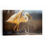 Egret Catches Fish Serene Contemporary Bird Fish Nature Wildlife Wall Art Print 1 Piece Wrapped Canvas Wall Art-1949157985