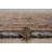 Laurel Conor-James Black And Green Accent Rug-1284220144