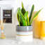 Nicola Spring - Reactive Glaze Plant Pots-63880890-63880895