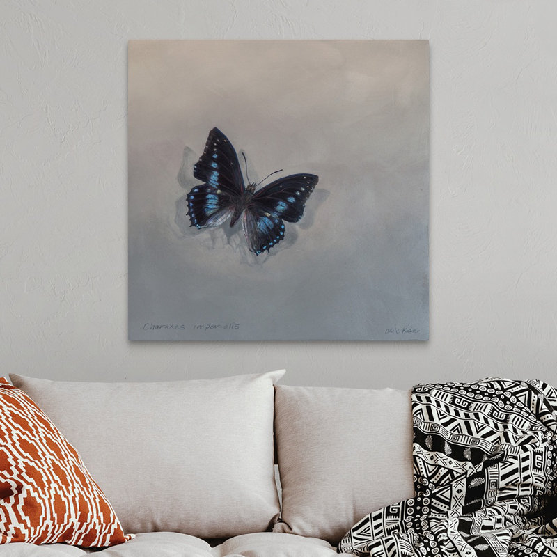 Charaxes imperial 1 (A), 2014 - reproduction d'art, Toile tendue, H 36 po x l 36 po x P 1,25 po