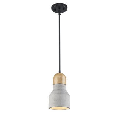Luminaire suspendu 1 lumière Zac