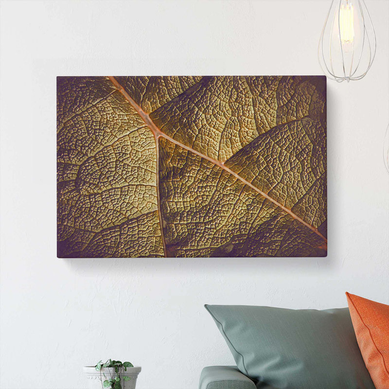 Paths Of The Leaf - Wrapped Canvas, 35cm H x 50cm W x 3cm D