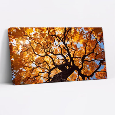 «Golden Autumn Tree Branches Against Blue Sky», art mural sur toile