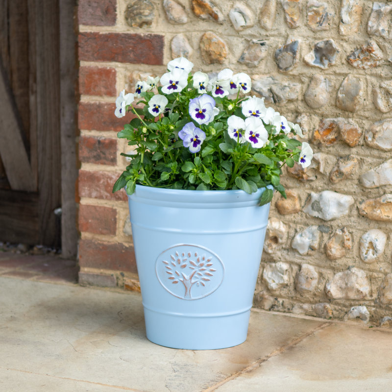 Dinardo Pot Planter, 41cm H x 40cm W x 40cm D, Aqua