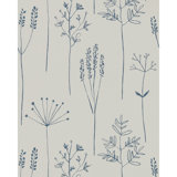 Stipa - Frost
