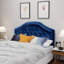 Tête de lit grand et grand lit - Revêtement en velours bleu marine avec capitonnage à boutons et détails cloutés délicats pour une chambre luxueuse et confortable-129902798-129902796-129902793
