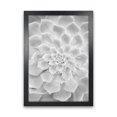 White Succulent Plant 1 Piece Wall Art