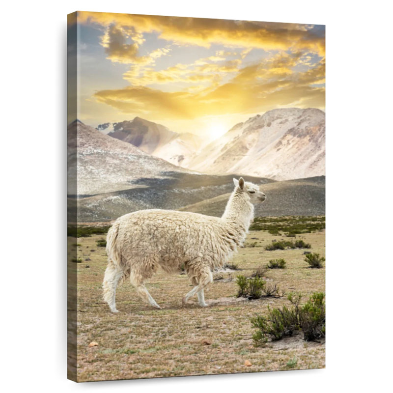 Brampt couleurs du Pérou - lama coucher de soleil, H 45 po x l 30 po