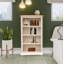 Gisela 120cm H Standard Bookcase-340576995-281387333
