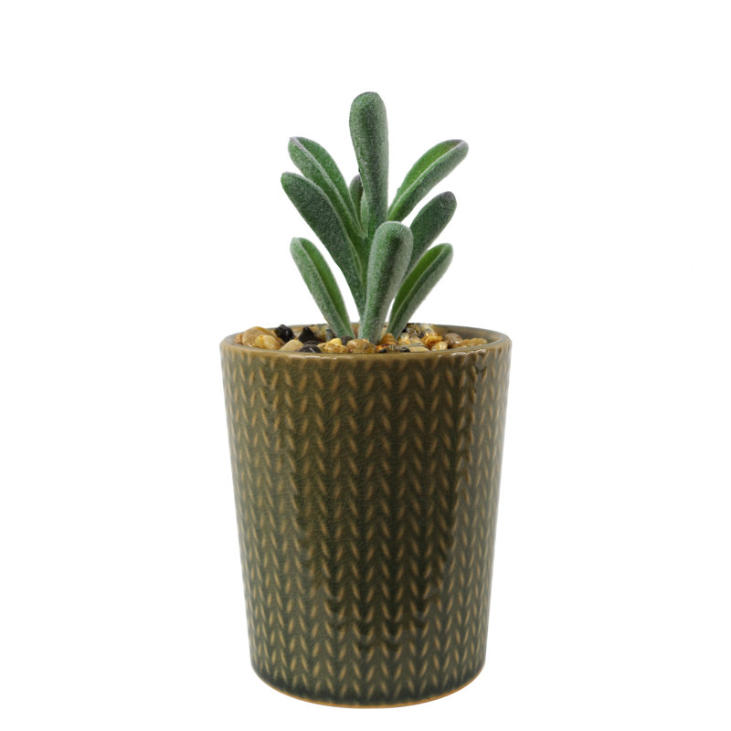 Annistin 17cm Plant, Green