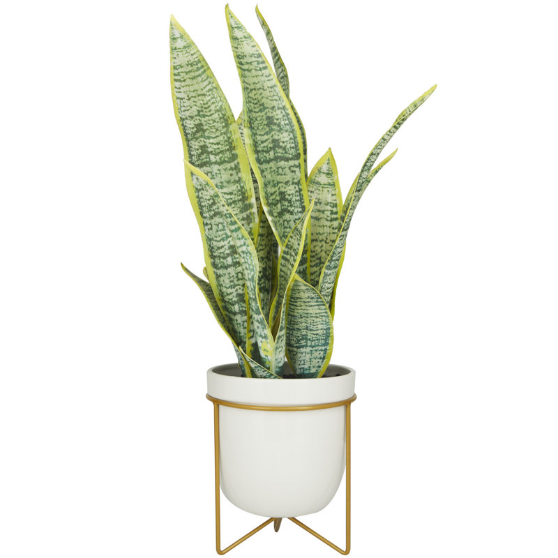 Feuillage artificiel floral et botanique Cole and Gray