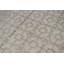 Geometric Area Rug in Beige