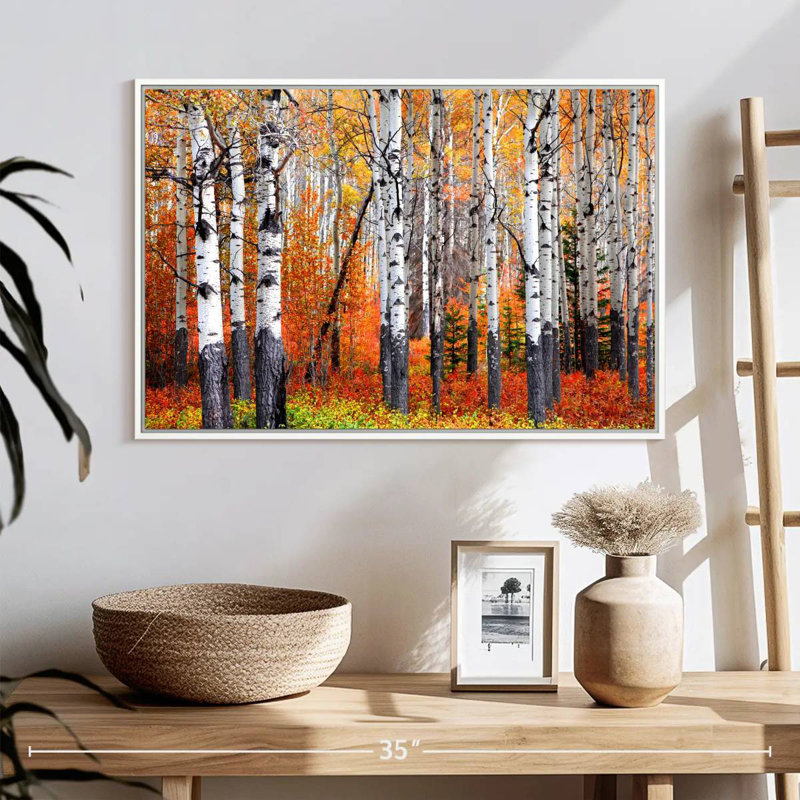 Forêt de trembles de Banff, Cadre flottant blanc, 25 po x 17 po
