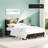 Metal Bed Frame With Headboard,2 Cabinets With Doors, LED Lights And USB Ports, Large Storage Space-151041725-151041726