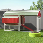 Hermione 33.93 Square Feet Chicken Coop with Chicken Run For Up To 8 Chickens