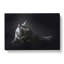 Maine Coon Kitten - Wrapped Canvas Painting-55365257