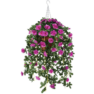 Petunia Hanging Basket Arrangement in Basket