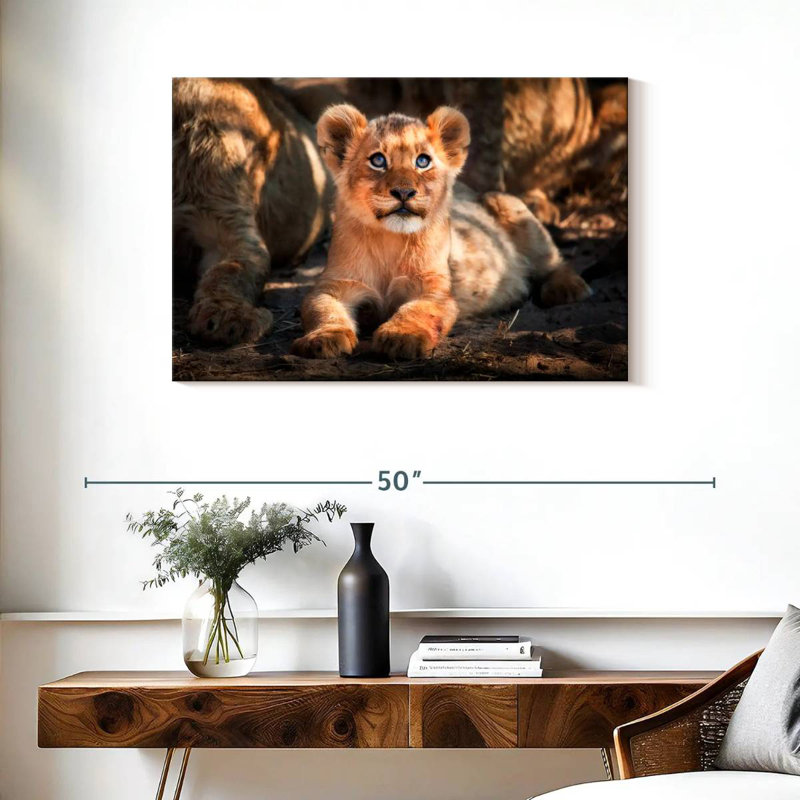 Lion safari Brampt, H 24 po x l 36 po