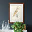 Barn Owl Premium encadré mat - prêt à accrocher-1890251785-1890251786