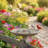 Plastic / Acrylic Single Tier Birdbath