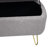 Rendell Polyester Upholstered Storage Bench-1299869460