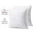 Outdoor Pillow Inserts, Water Resistant Decorative Throw Pillows-111999687-111999684