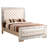 Bristol Upholstered Standard Bed-246852405-246852401