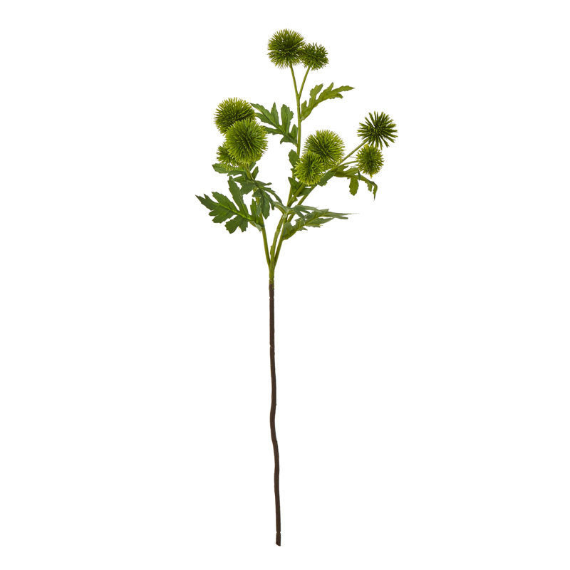 Anastasija Arrangement, Green
