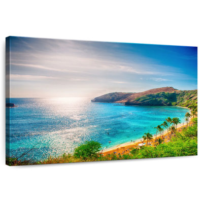 Gillard Hawaiian Beach