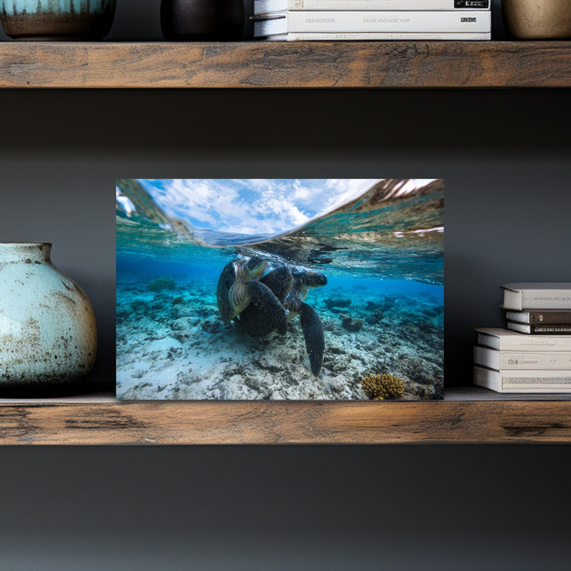 Tropical Sea Turtle Pair Abstract Turtle Nature Ocean Wall Art Print 1 Piece Wrapped Canvas Wall Art, 30.48cm H x 45.72cm W