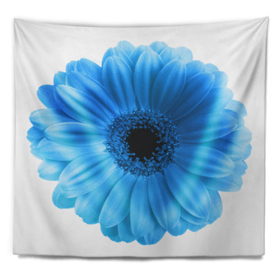 Tapisserie floral bleu isolé floral