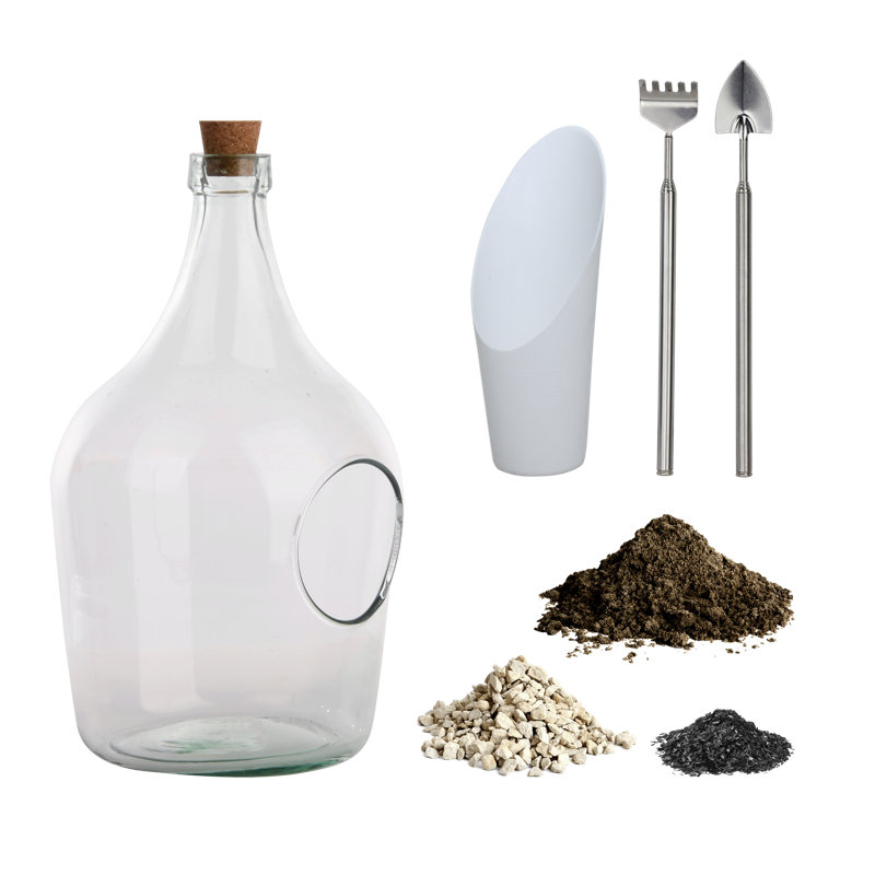 Diy Set Terrarium Bottle 3 Litre