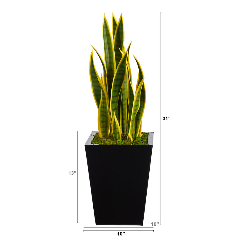 Plante artificielle en pot, Noir, H 31 po x l 10 po x P 10 po