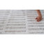 Tapis intérieur moderne, beige crème.-1160040605