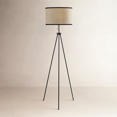Isadora 58.5'' Dimmable Floor Lamp