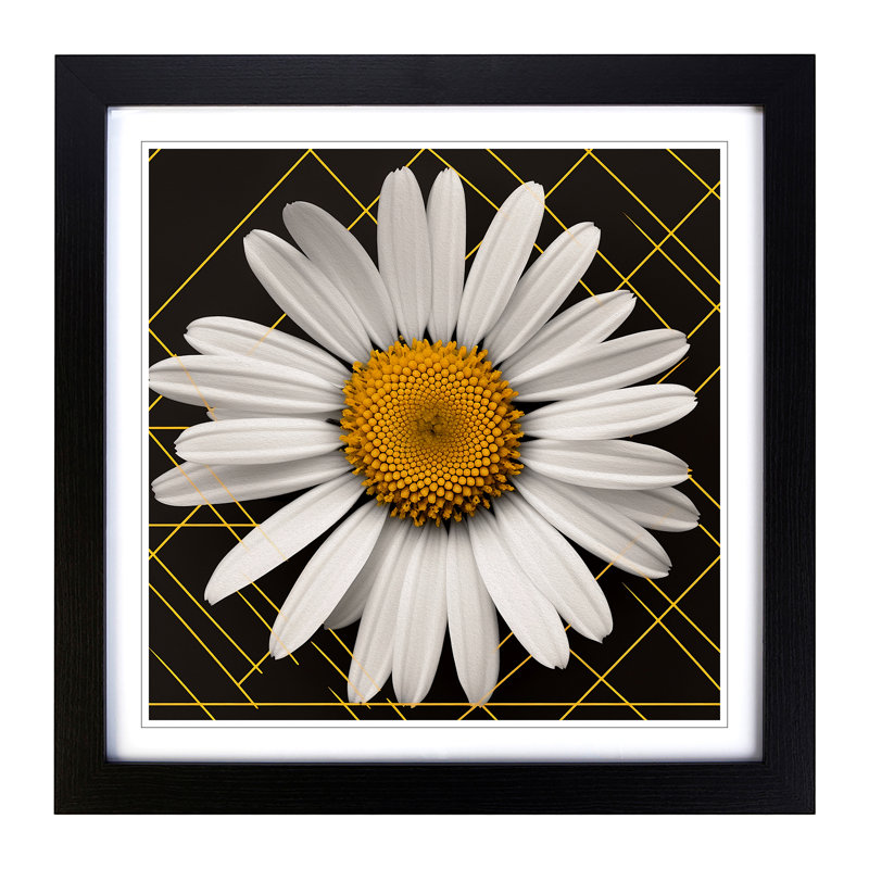 Daisy Constructivism No.2 - Framed Print, Black