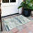 Aleighna Area Rug with Non-Slip Backing-41524617
