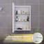 50 W 70 H Medicine Cabinet Mirror