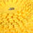 Amahd Polyester Pet Bed-116001137