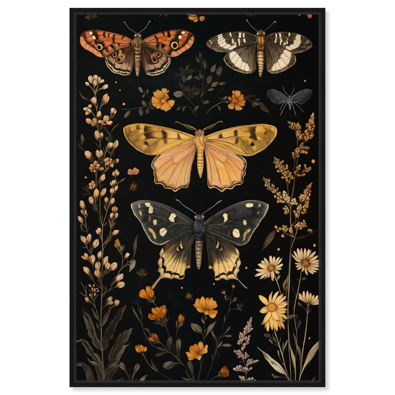 «Winged visiteurs II», décoration botanique sur toile par , Cadre flottant noir, H 16 po x l 11 po