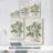 Buchoz Tropicals I -Gallery Wrapped Cavas