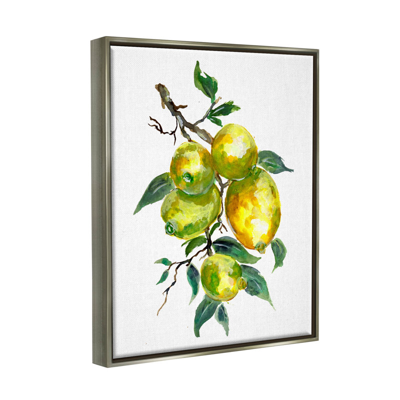Citron, agrume, art giclée par Sebastian Grafmann, H 31 po x l 25 po x P 1,7 po, Cadre flottant gris lustré
