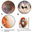 Orang-outan tropical II - animaux, art mural, salon-2060452798-2060452799