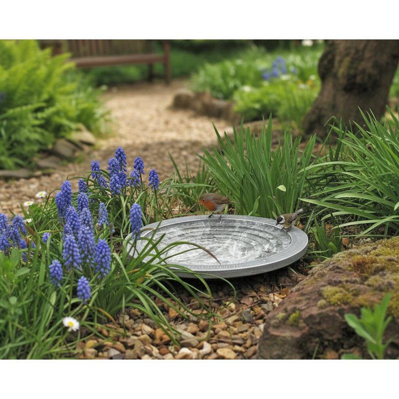 Plastic Birdbath